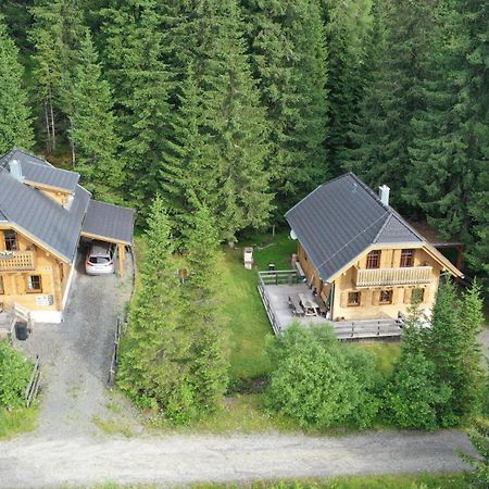 Almhaus & Almchalet Flattnitz Екстериор снимка