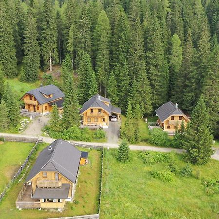Almhaus & Almchalet Flattnitz Екстериор снимка