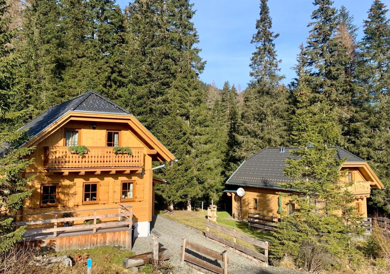 Almhaus & Almchalet Flattnitz Екстериор снимка