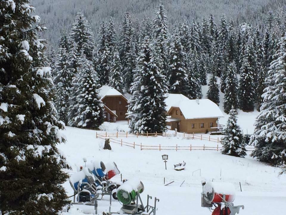 Almhaus & Almchalet Flattnitz Екстериор снимка