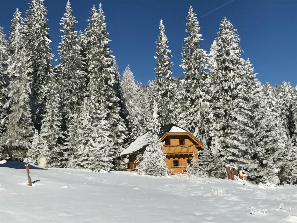 Almhaus & Almchalet Flattnitz Екстериор снимка