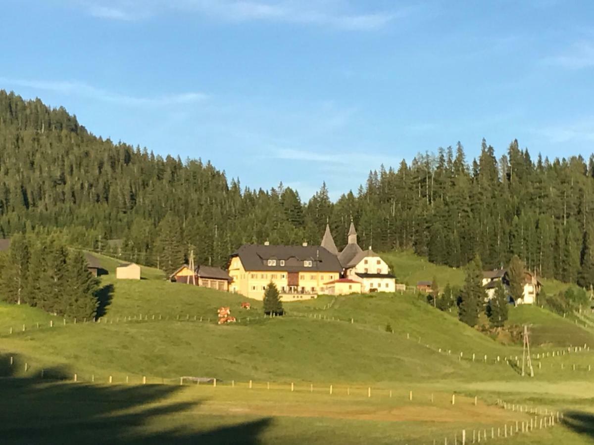 Almhaus & Almchalet Flattnitz Екстериор снимка